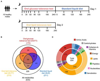 Dynamic patterns of postprandial metabolic responses to three dietary challenges